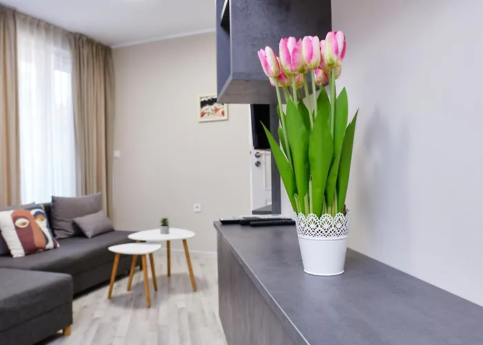 Cozy 1-bed 2 Апартамент Пловдив