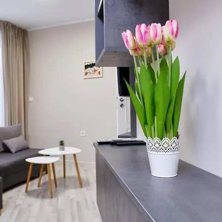 Cozy 1-bed 2 Apartment Plovdiv